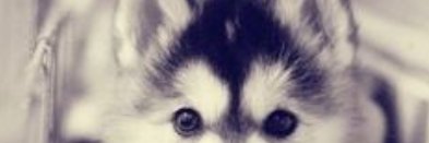 Madhu195's profile banner image