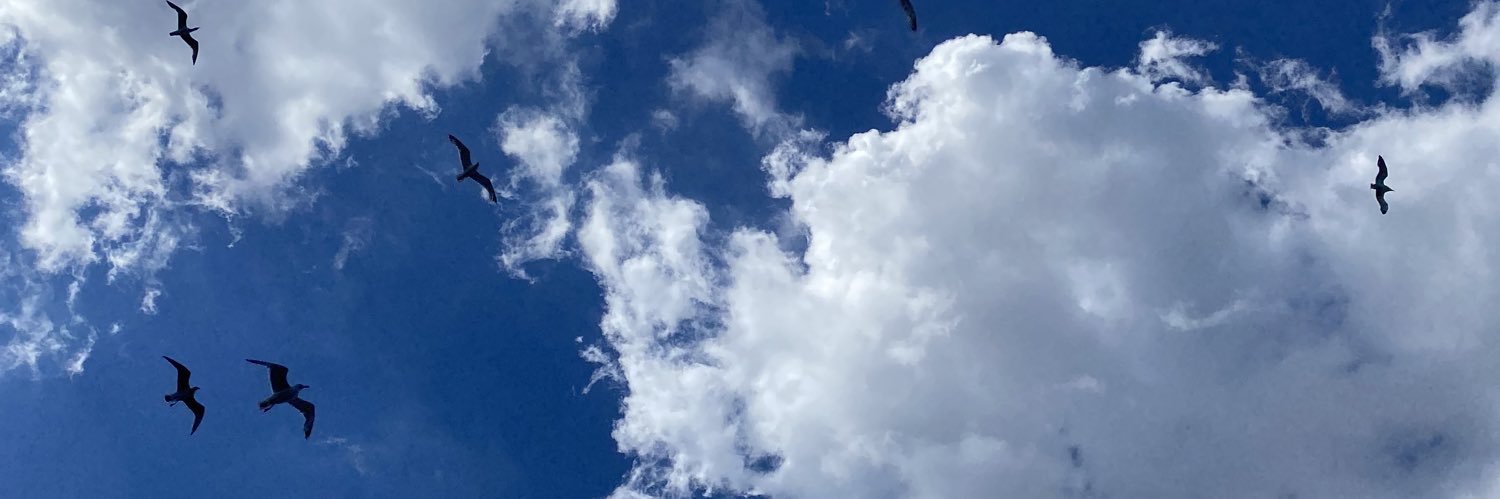 ozgeebag's profile banner image