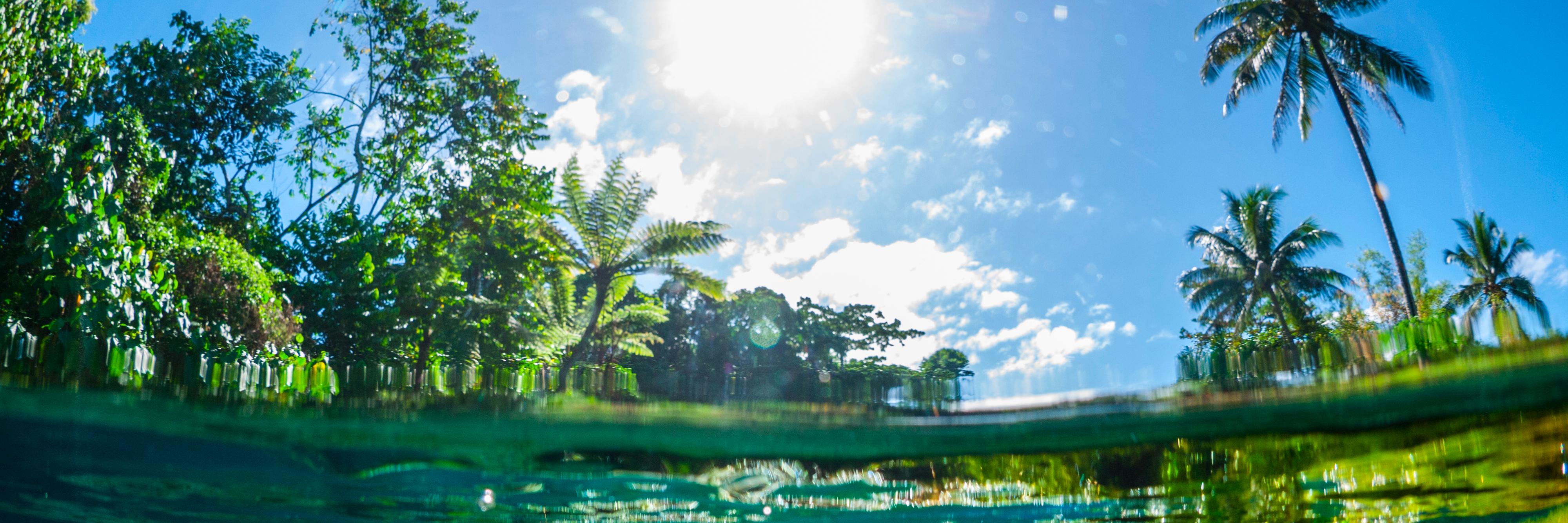 RhettMcNulty's profile banner image