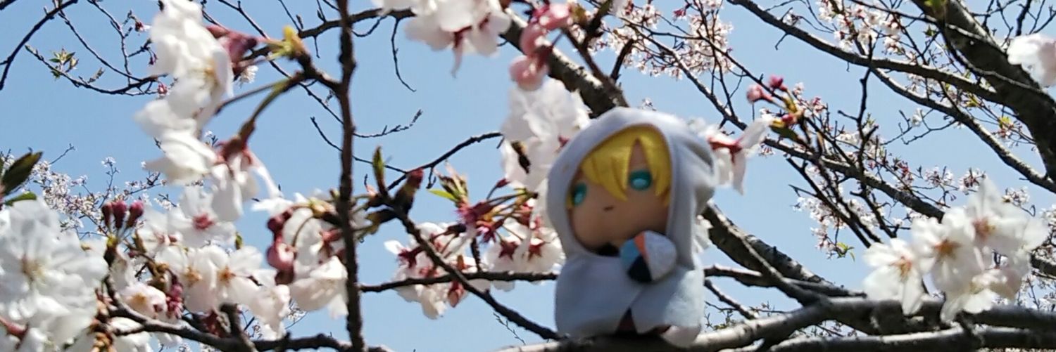 haryuhanon's profile banner image