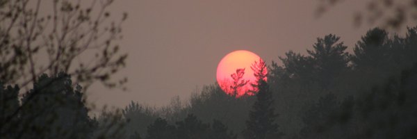 evilpicmin Profile Banner
