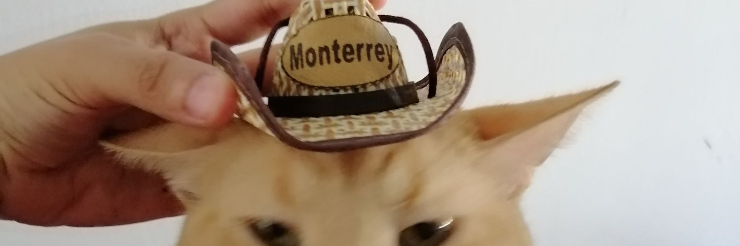 Iveth Luna Flores banner