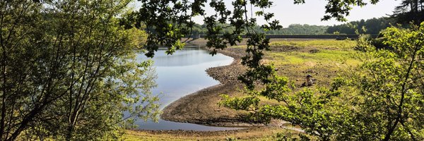 MelCrossley1 Profile Banner