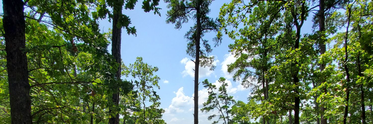 Azalea Gonzalez banner