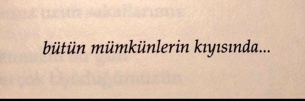 thepaintedbird_ Profile Banner