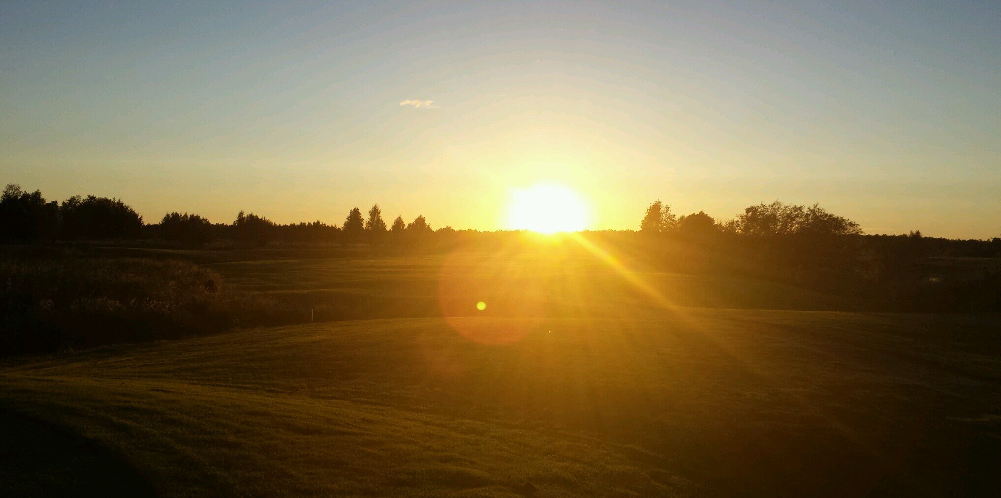 Jari Tallgren banner