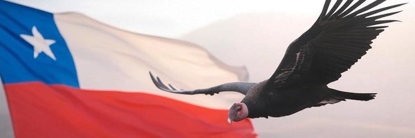 zona_libertaria Profile Banner