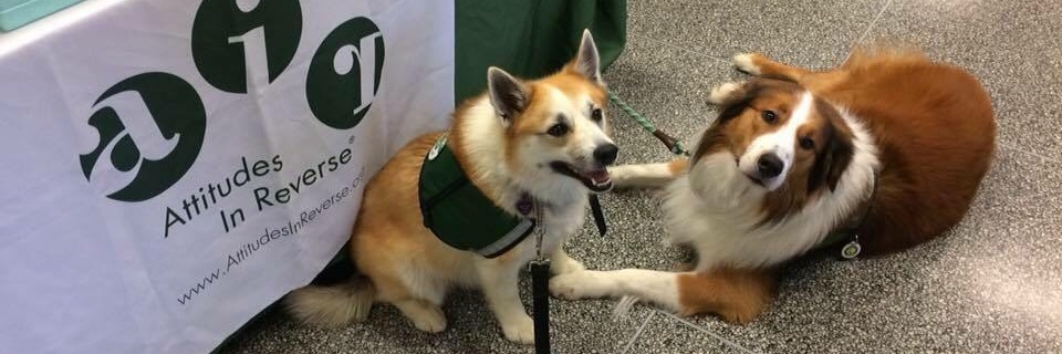 Attitudes In Reverse (AIR) banner