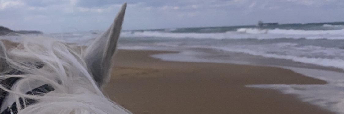 alkanderi9_'s profile banner image
