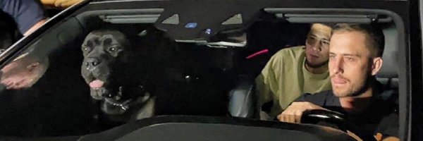 PhoenixMilgrau Profile Banner