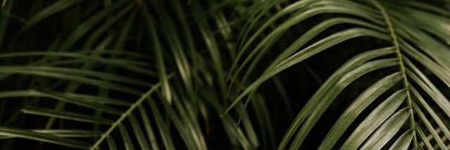GabrieleBaptis3's profile banner image