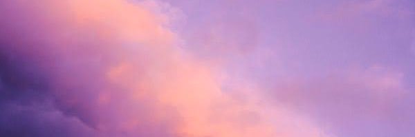 Dee 🌸 banner
