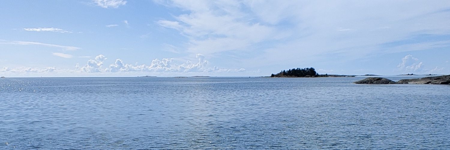 Karoliina Paananen banner