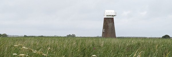 tizianaleone Profile Banner