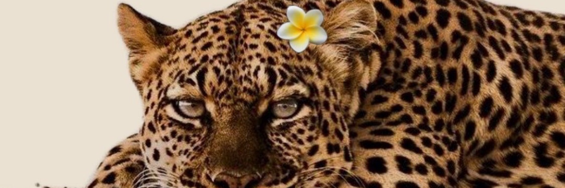 Isasousa___'s profile banner image