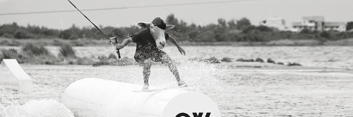 owdistribution's profile banner image