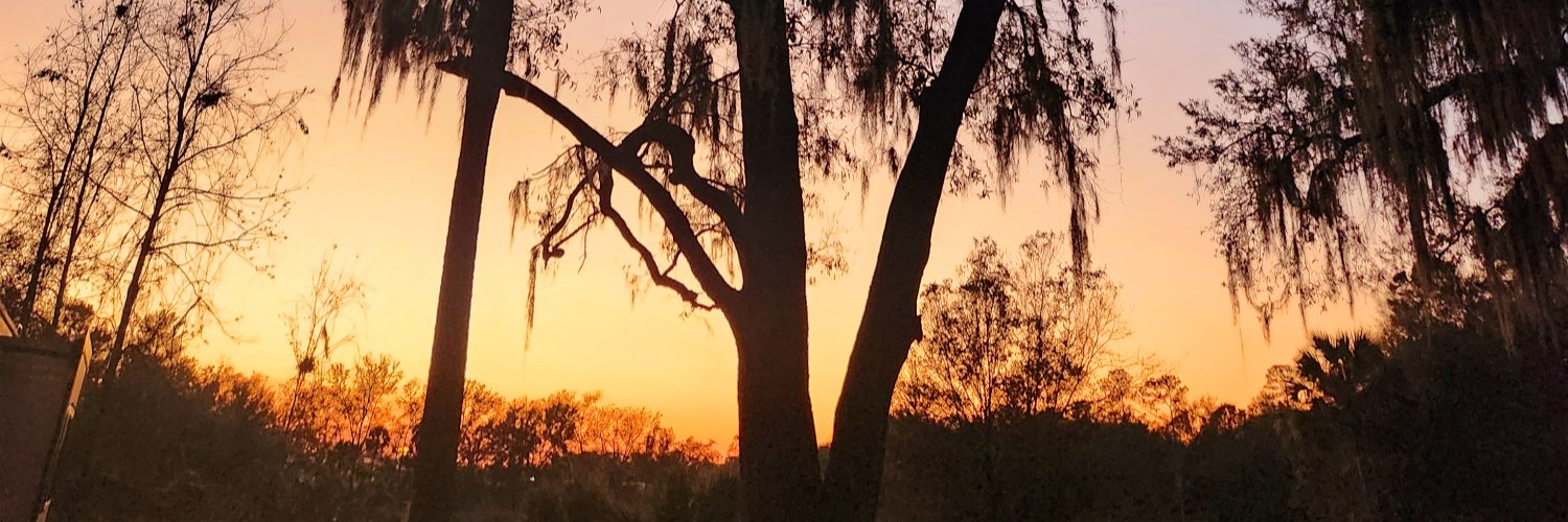 ambientexpanse's profile banner image