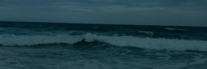 trxnsient's profile banner image