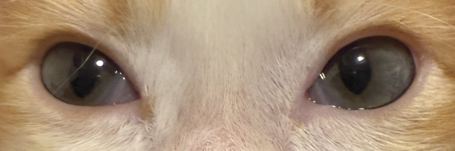 たがわうたやٛ ٍ ⩌⩊⩌ ٍ banner