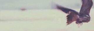 NajiAlmarri's profile banner image