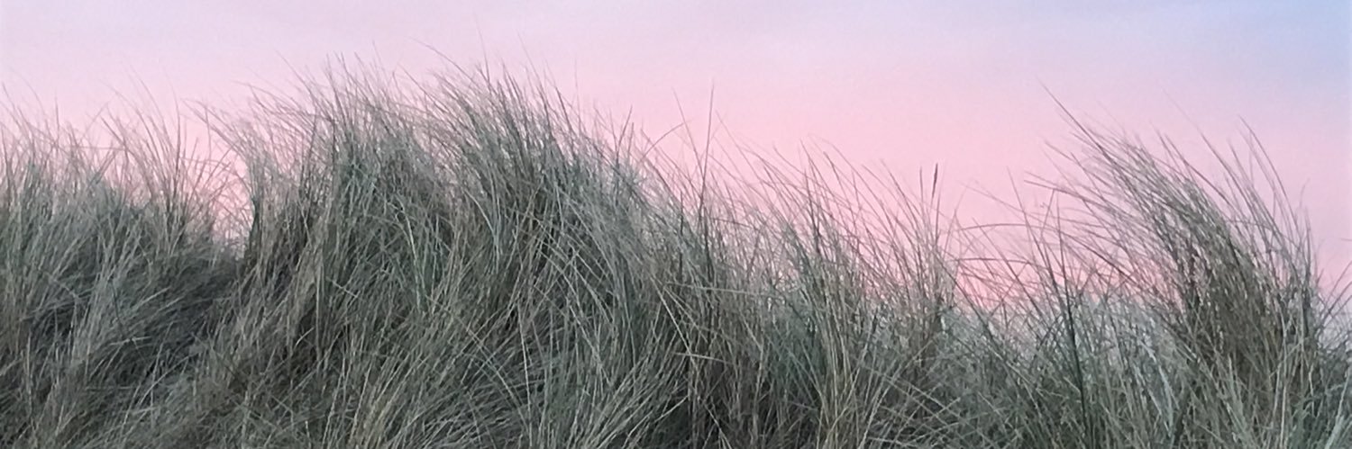 CatrineKnsgaard's profile banner image