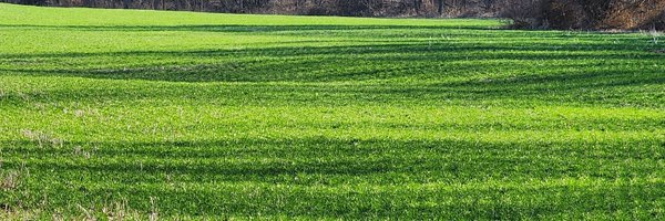 joe_louderback Profile Banner