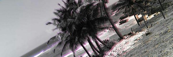 kingcesc4 Profile Banner