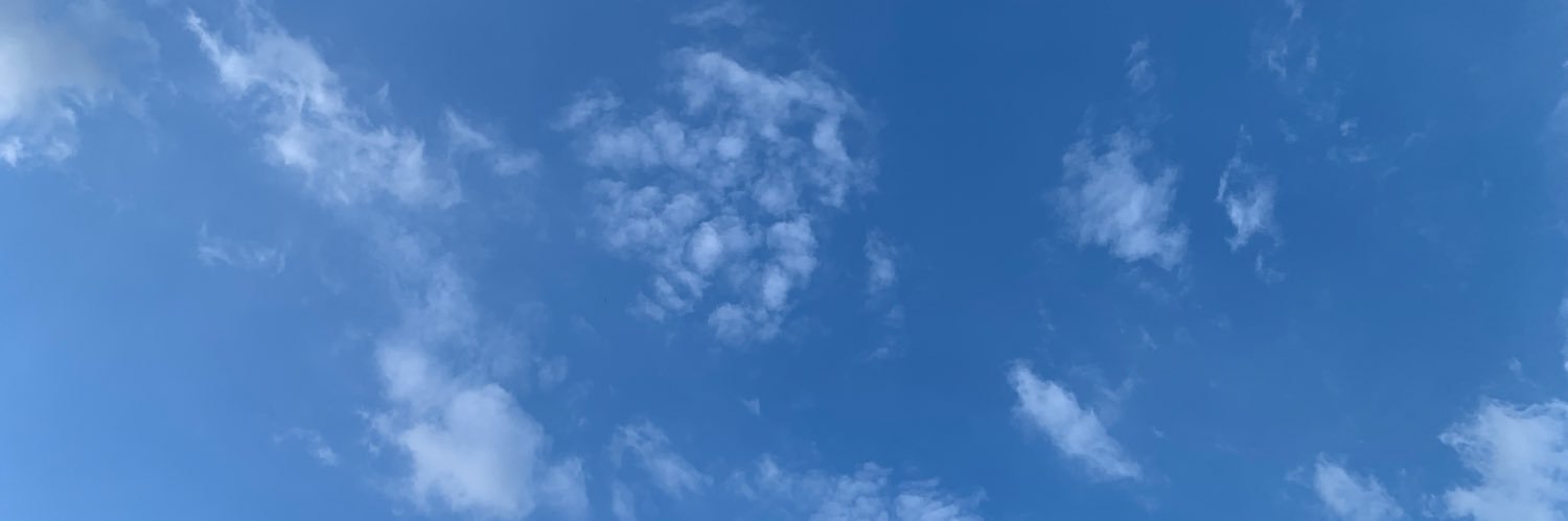 PPSY banner
