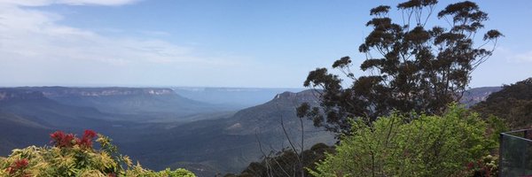 Eliseus_Feng Profile Banner