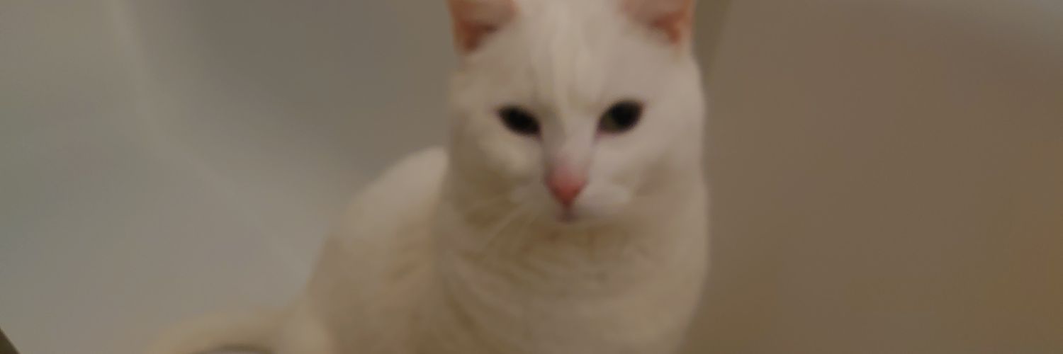 Bluemonkey1971's profile banner image