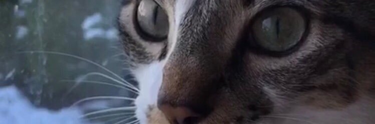 bembilg's profile banner image