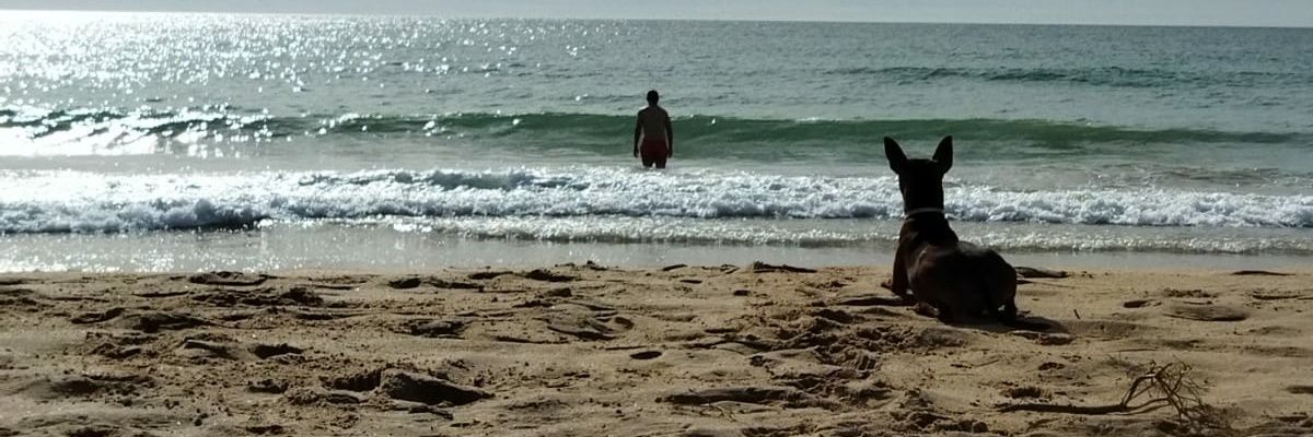 peralines9's profile banner image