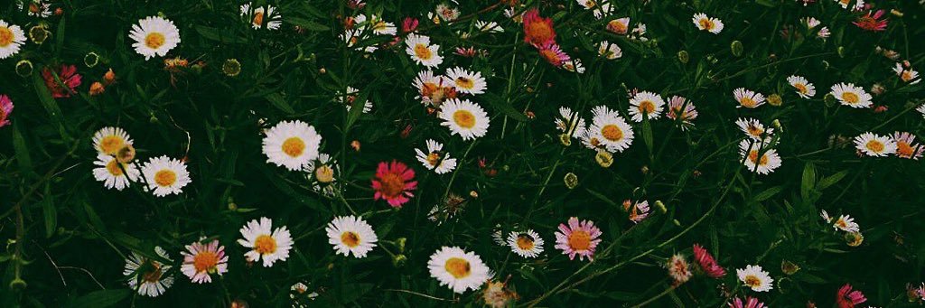 lullabbie_'s profile banner image