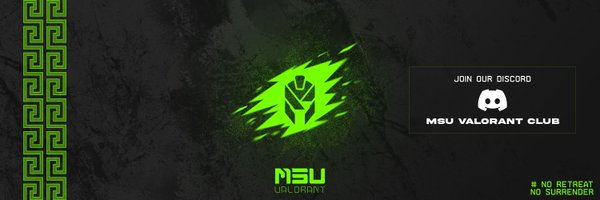 MSUValorant Profile Banner