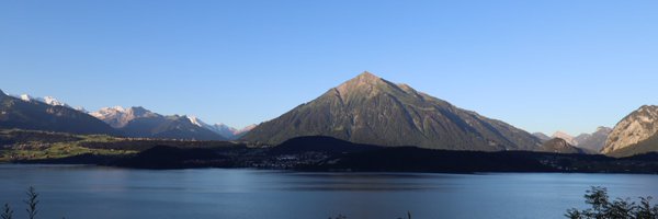 SwissAmbTHA Profile Banner