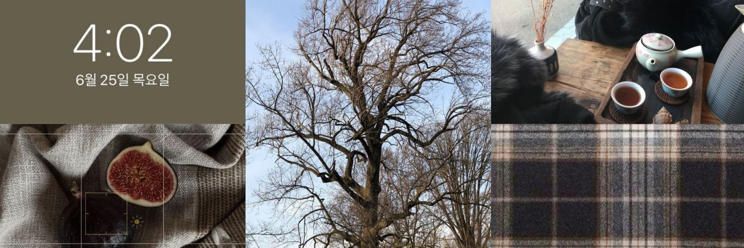 ୭ ˖ ࣪ sunkissed petal, the first love of summer ⊹ banner