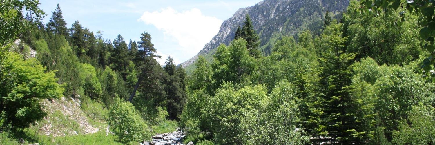 arnaucunties's profile banner image
