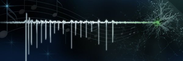 hb_cell Profile Banner