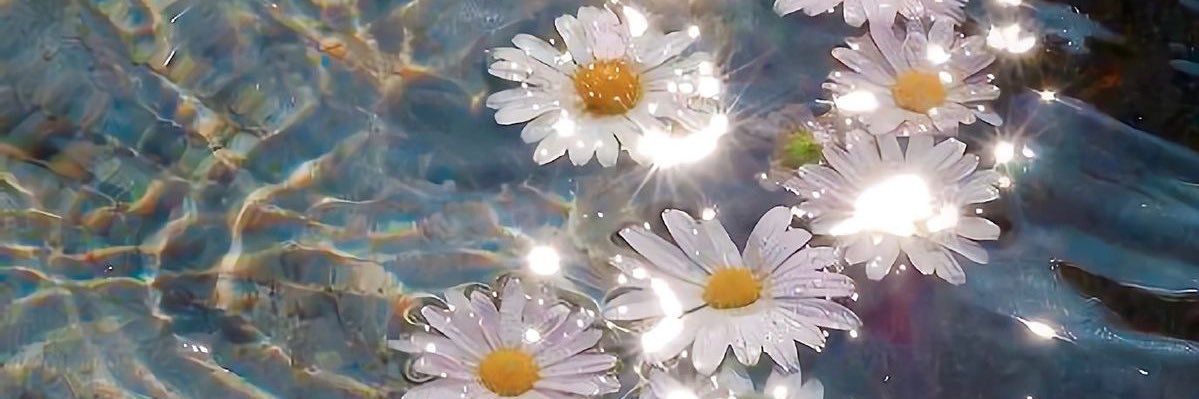 saratheanchovy's profile banner image