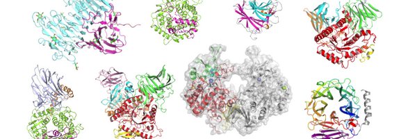 taka_enzyme Profile Banner
