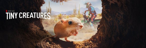 EmberFilms Profile Banner