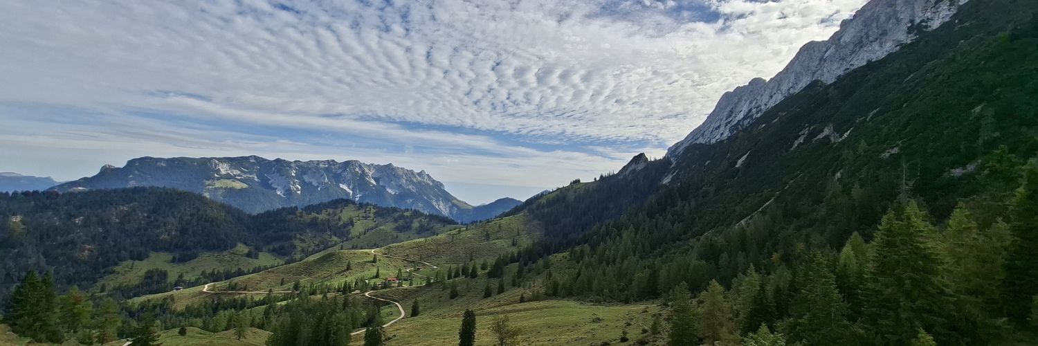 Dominik Berger banner