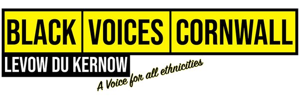 BVCornwall Profile Banner