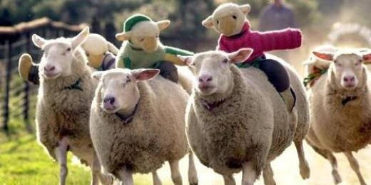 Berkeley Bear banner