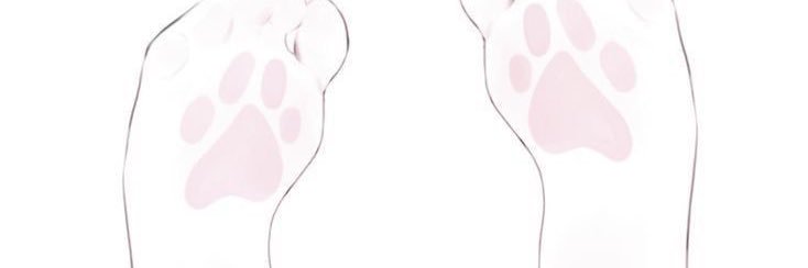 nonbunicares's profile banner image