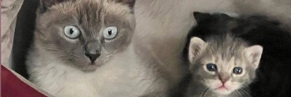 be_mouride Profile Banner