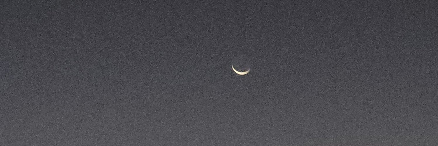 seriousnatt's profile banner image