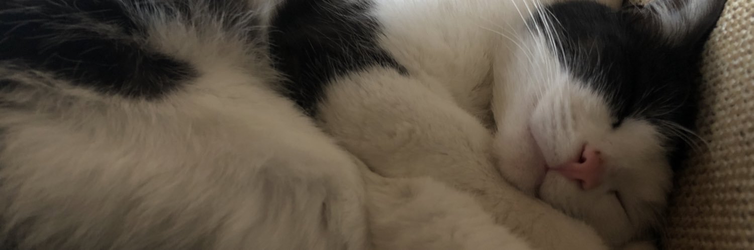 taddllicious's profile banner image