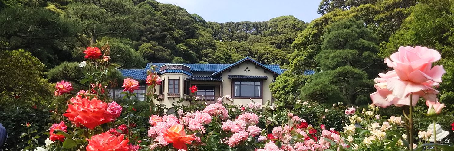 shimamumin's profile banner image