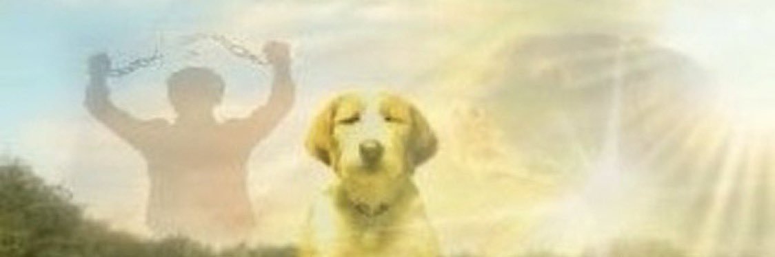 ausa banner